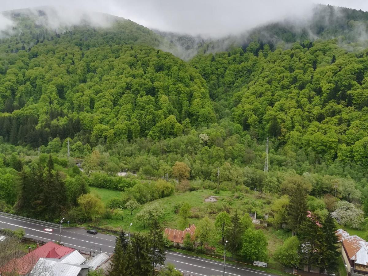 Sinaia Q Marie Apartment Exterior photo